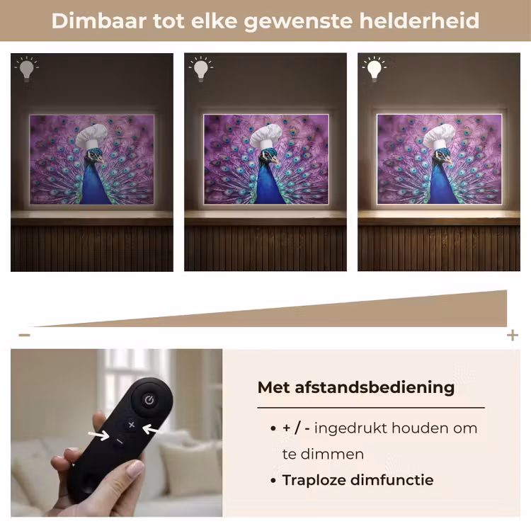 Lightbox - Wandlamp - Pauw - Koksmuts - Cool - Paars — 9