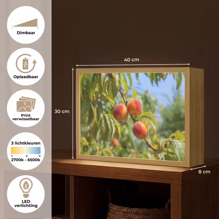 Lightbox - Wandlamp - Perzik - Bladeren - Zonlicht — 10