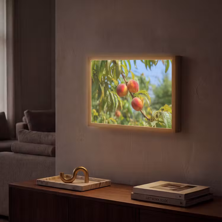 Lightbox - Wandlamp - Perzik - Bladeren - Zonlicht — 2