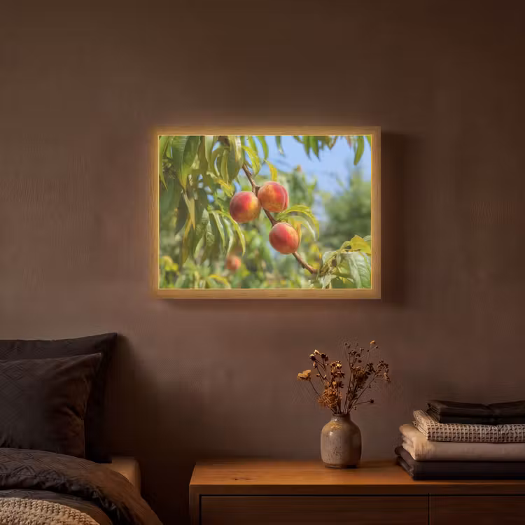 Lightbox - Wandlamp - Perzik - Bladeren - Zonlicht — 3