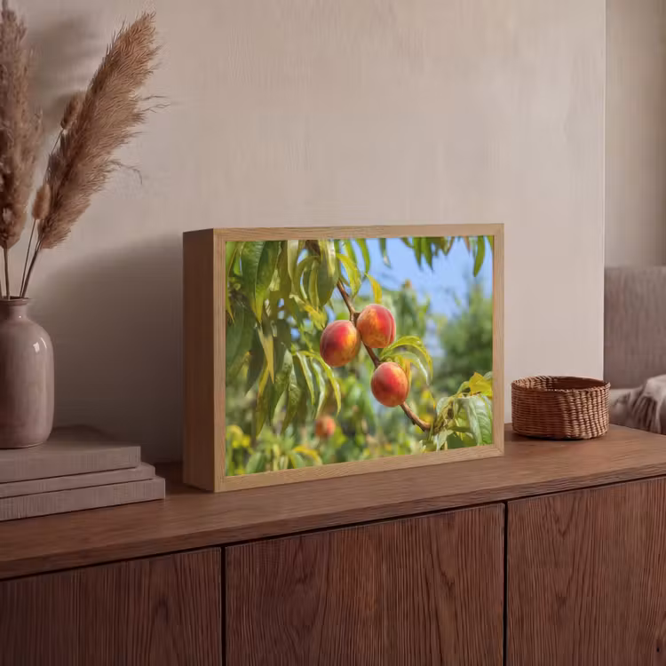 Lightbox - Wandlamp - Perzik - Bladeren - Zonlicht — 4