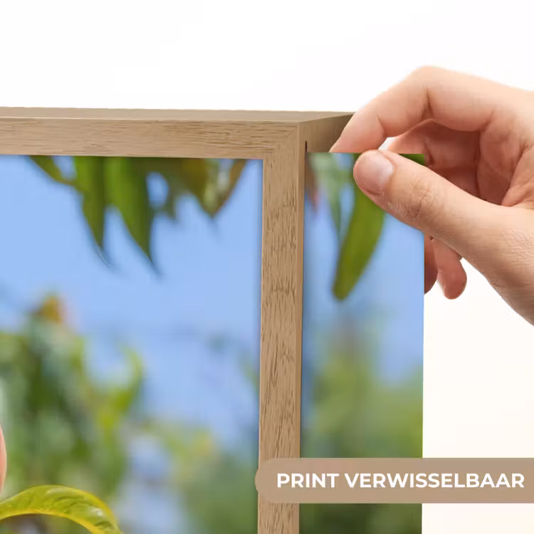 Lightbox - Wandlamp - Perzik - Bladeren - Zonlicht — 5