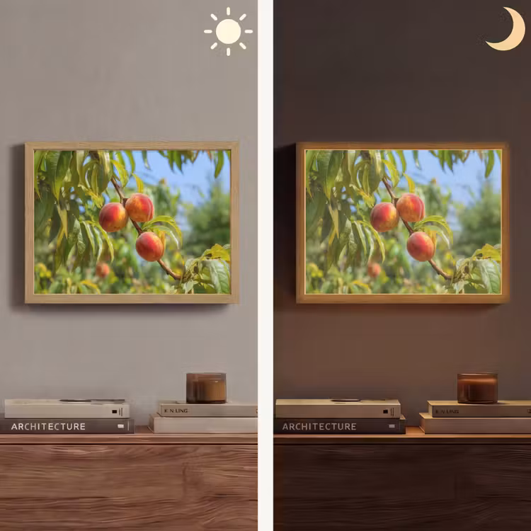 Lightbox - Wandlamp - Perzik - Bladeren - Zonlicht — 6