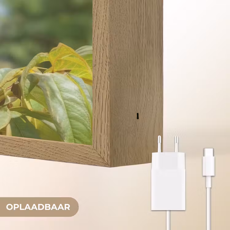 Lightbox - Wandlamp - Perzik - Bladeren - Zonlicht — 7