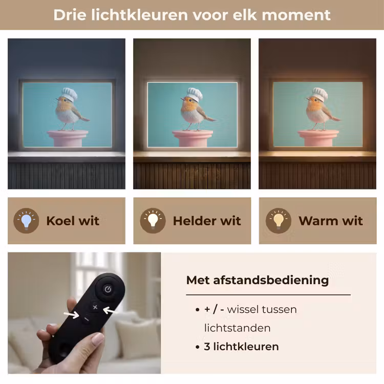Lightbox - Wandlamp - Roodborstje - Vogel - Koksmuts - Sokkel — 8
