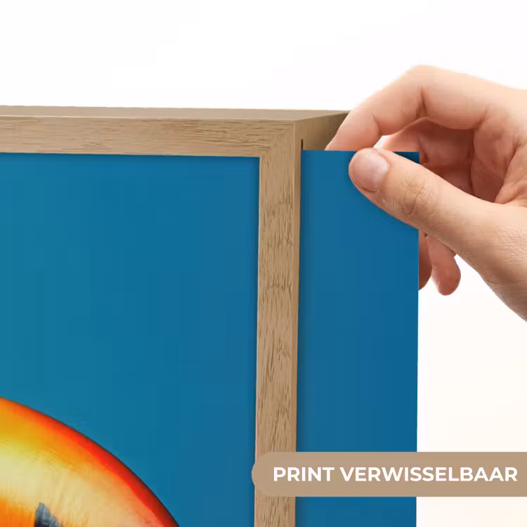 Lightbox - Wandlamp - Toekan - Papegaai - Vogel - Koksmuts — 5