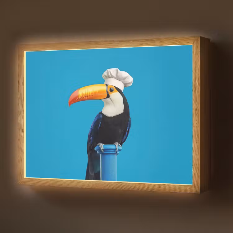 Lightbox - Wandlamp - Tucan - Sokkel - Vogel - Koksmuts — 1