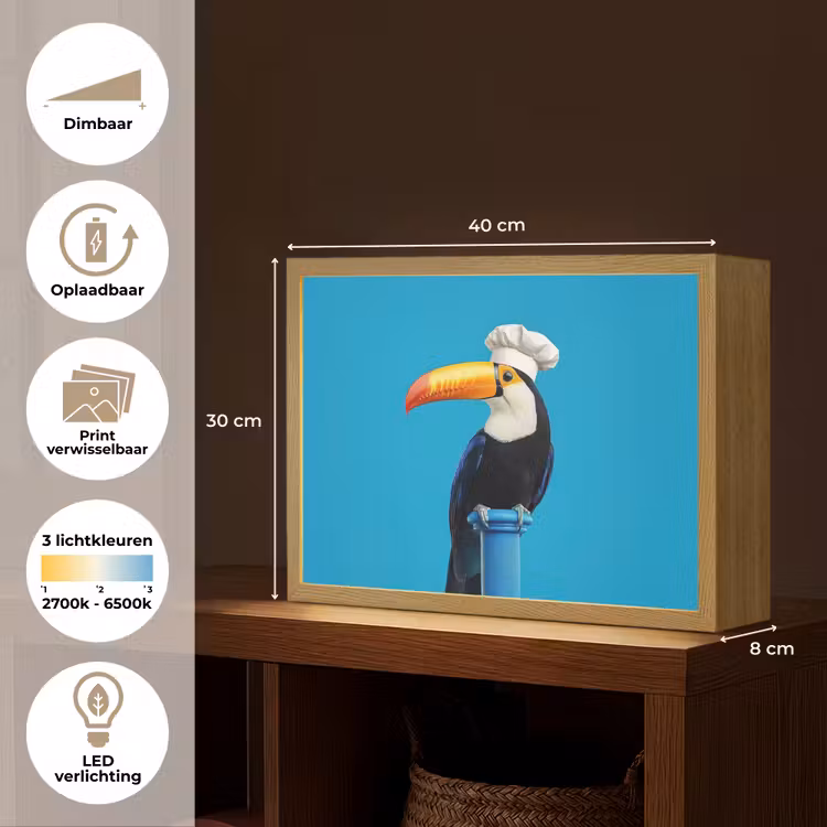 Lightbox - Wandlamp - Tucan - Sokkel - Vogel - Koksmuts — 10