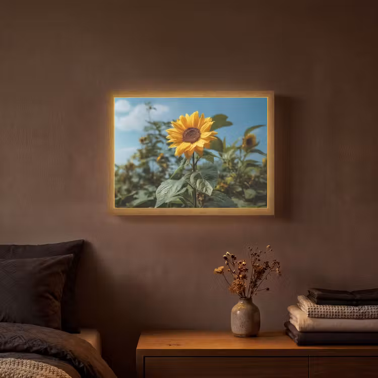 Lightbox - Wandlamp - Zonnebloemen - Helderblauwer lucht - Gras — 3