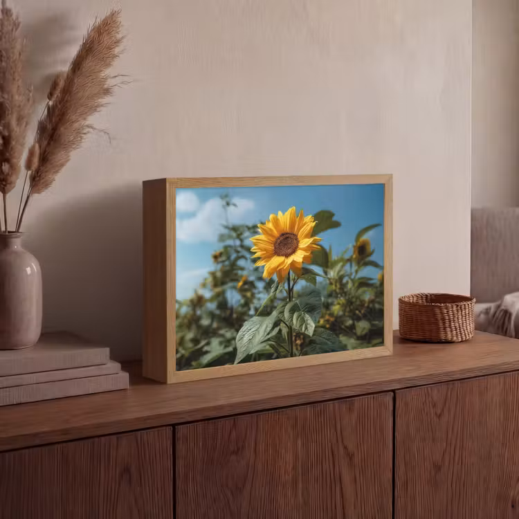 Lightbox - Wandlamp - Zonnebloemen - Helderblauwer lucht - Gras — 4