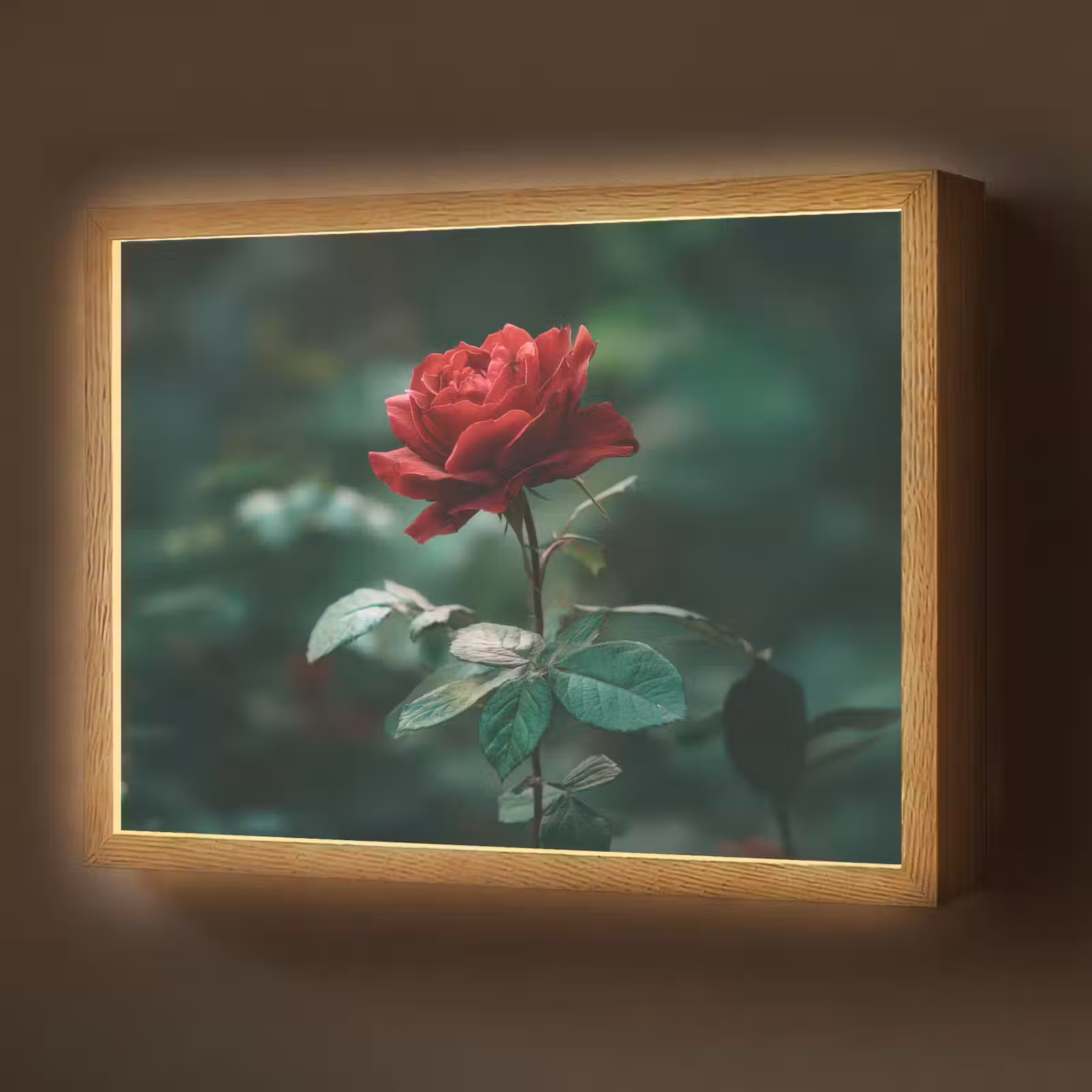 Lightbox - Wandlamp - Roos - Bladeren - Dieprood — 1