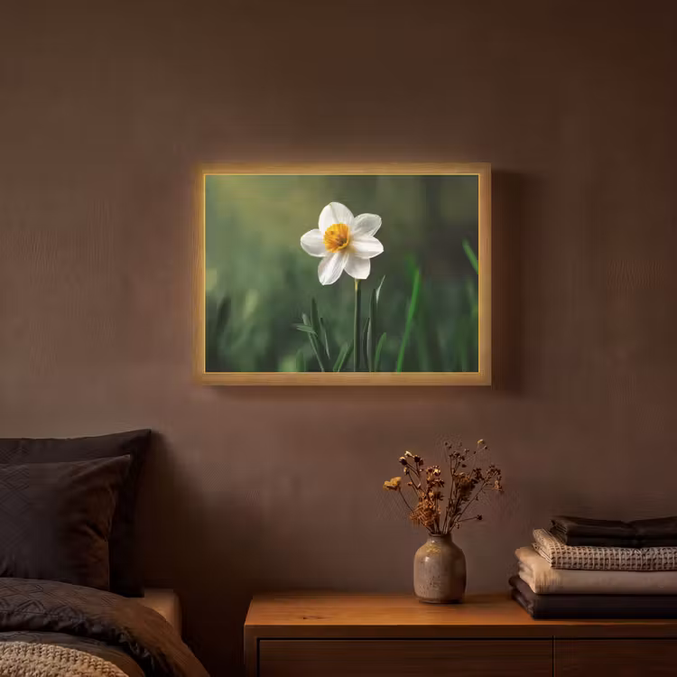 Lightbox - Wandlamp - Narcis - Bloem - Wit - Grassprieten — 3