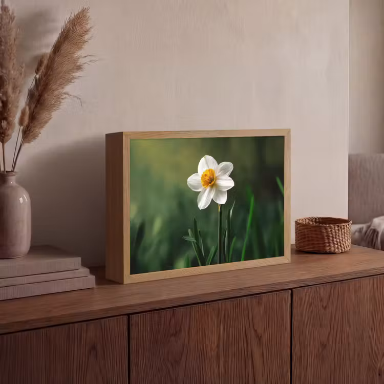 Lightbox - Wandlamp - Narcis - Bloem - Wit - Grassprieten — 4