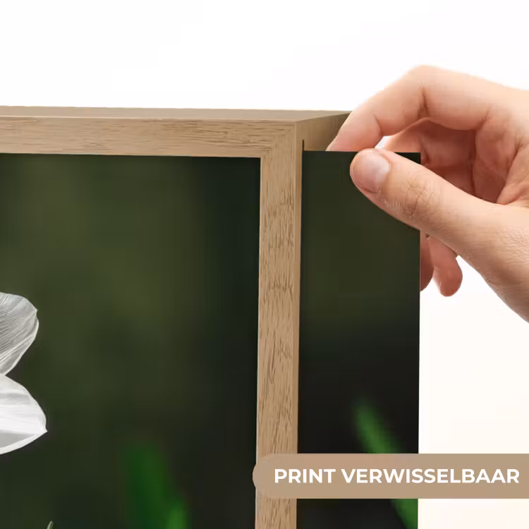 Lightbox - Wandlamp - Narcis - Bloem - Wit - Grassprieten — 5