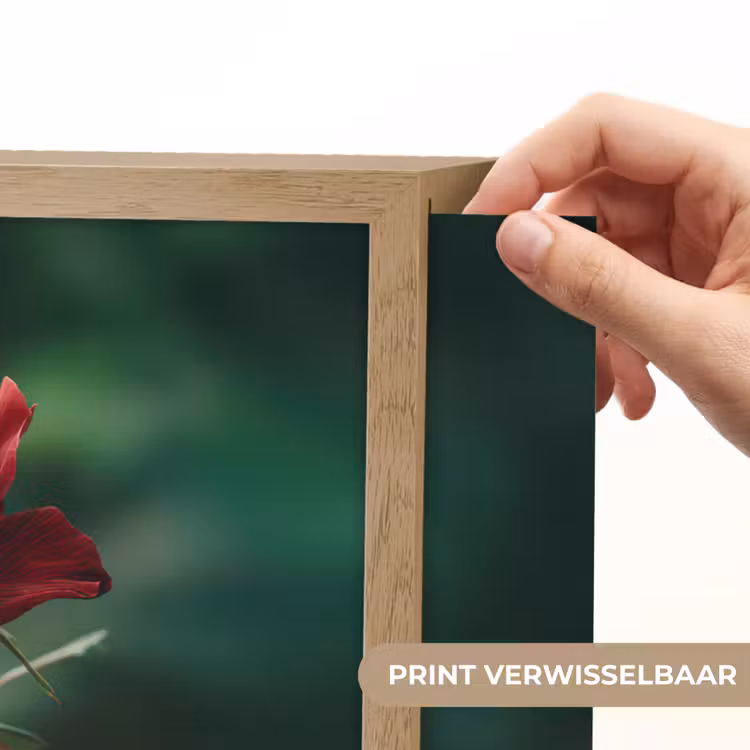 Lightbox - Wandlamp - Roos - Bladeren - Dieprood — 5