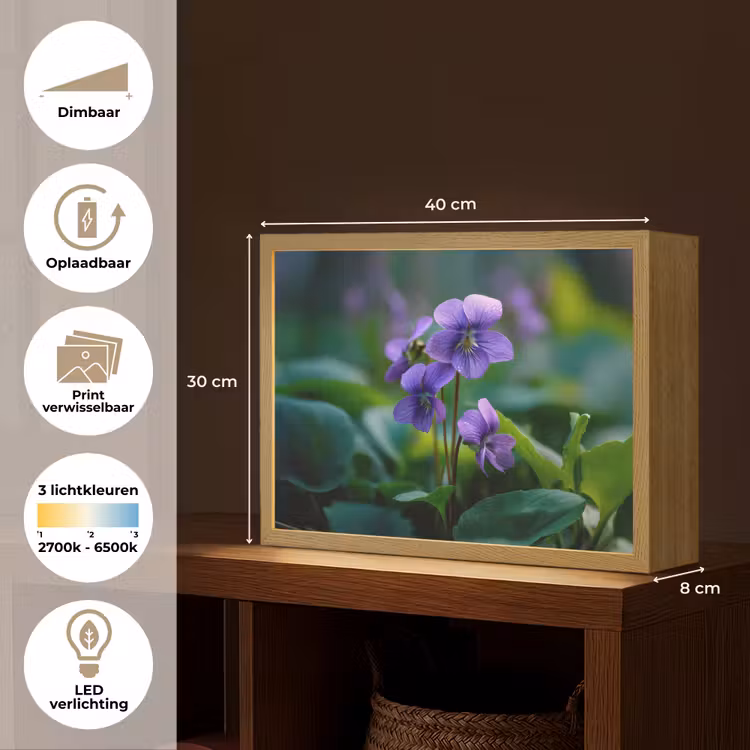 Lightbox - Wandlamp - Viooltjes - Paars - Bloem - Bladeren — 10