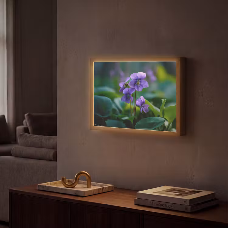 Lightbox - Wandlamp - Viooltjes - Paars - Bloem - Bladeren — 2