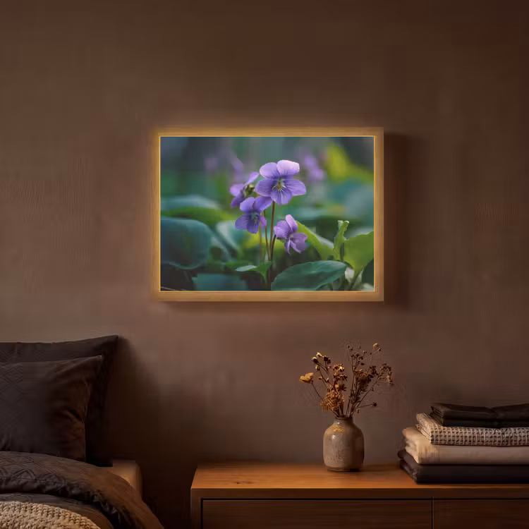 Lightbox - Wandlamp - Viooltjes - Paars - Bloem - Bladeren — 3