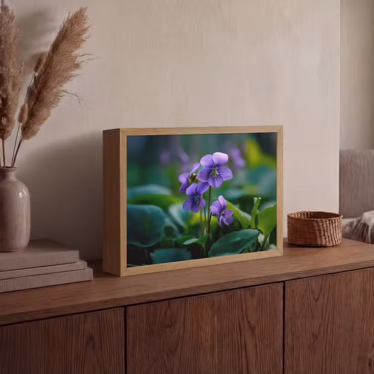 Lightbox - Wandlamp - Viooltjes - Paars - Bloem - Bladeren — 4