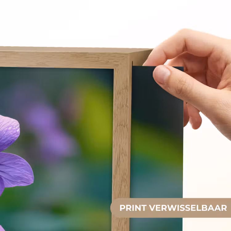 Lightbox - Wandlamp - Viooltjes - Paars - Bloem - Bladeren — 5