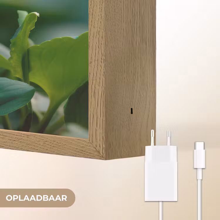 Lightbox - Wandlamp - Viooltjes - Paars - Bloem - Bladeren — 7