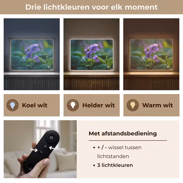 Lightbox - Wandlamp - Viooltjes - Paars - Bloem - Bladeren — 8