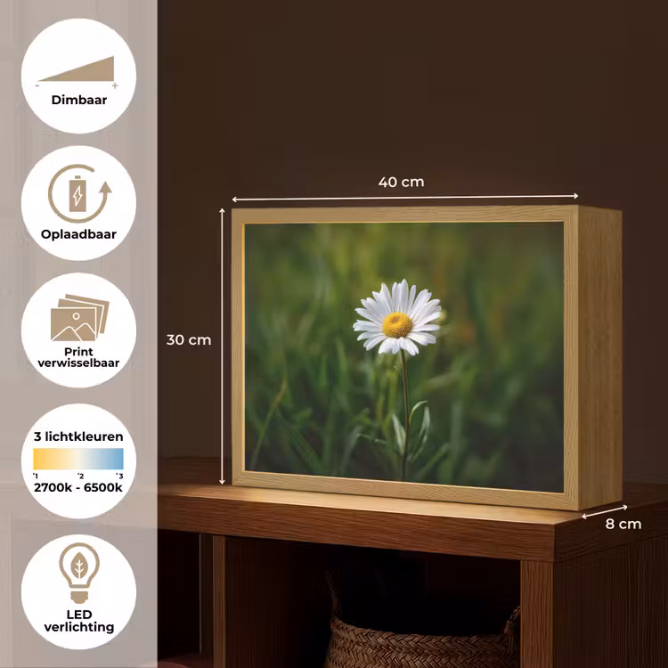 Lightbox - Wandlamp - Wit - Madeliefje - Bloem - Gras — 10