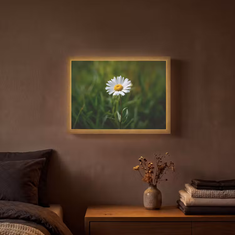 Lightbox - Wandlamp - Wit - Madeliefje - Bloem - Gras — 3