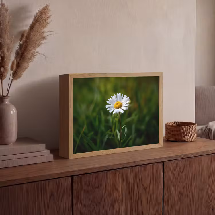 Lightbox - Wandlamp - Wit - Madeliefje - Bloem - Gras — 4