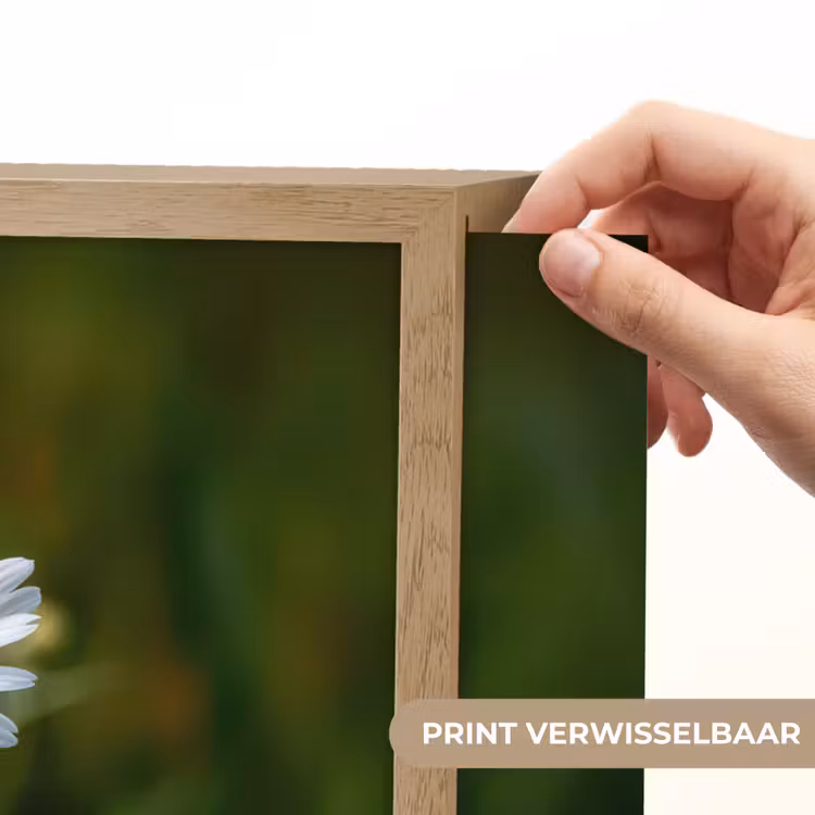Lightbox - Wandlamp - Wit - Madeliefje - Bloem - Gras — 5