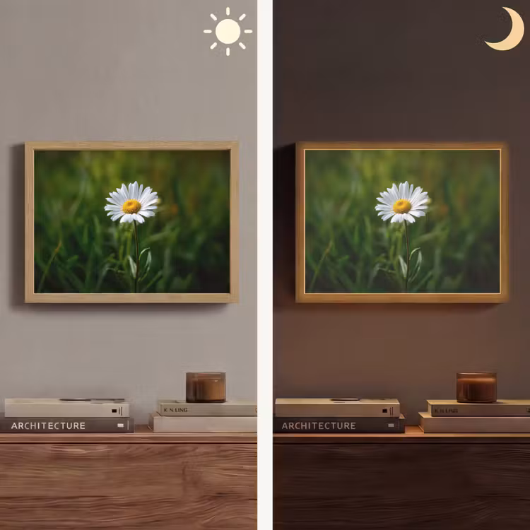 Lightbox - Wandlamp - Wit - Madeliefje - Bloem - Gras — 6