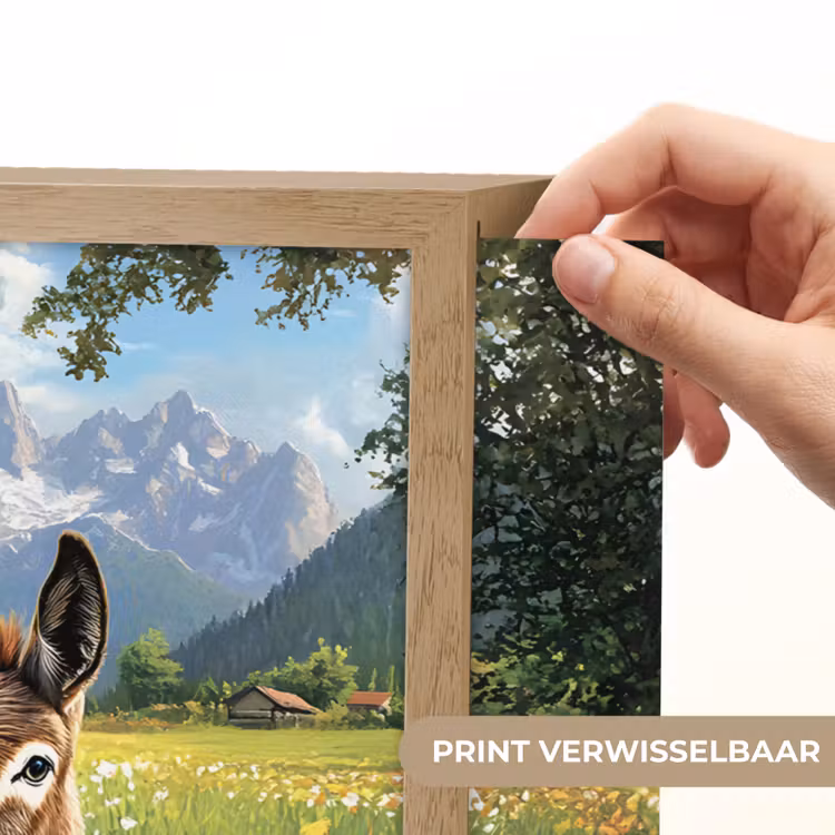 Lightbox - Wandlamp - Ezels - Bloemen - Zomers — 5