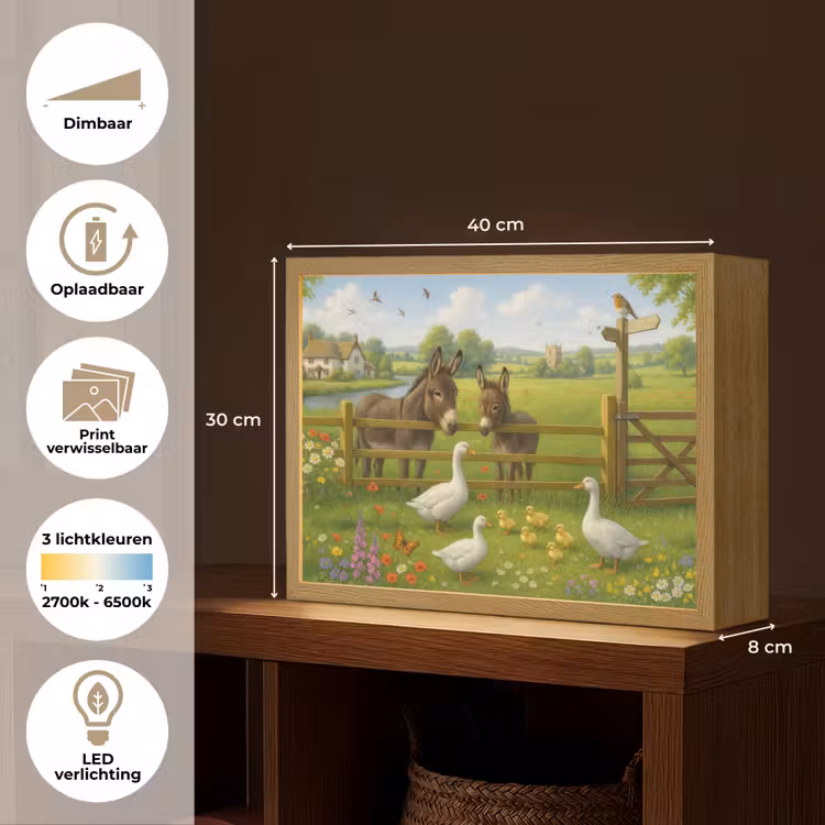 Lightbox - Wandlamp - Ezels - Ganzen - Kleurrijk — 10