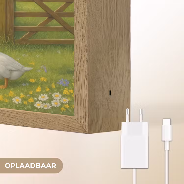 Lightbox - Wandlamp - Ezels - Ganzen - Kleurrijk — 7