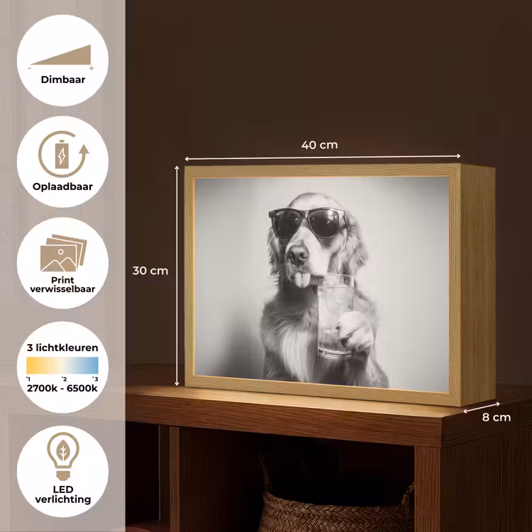 Lightbox - Wandlamp - Golden retriever - Hond - Zonnebril - Gkas — 10