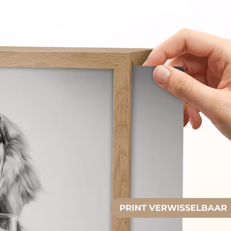Lightbox - Wandlamp - Golden retriever - Hond - Zonnebril - Gkas — 5