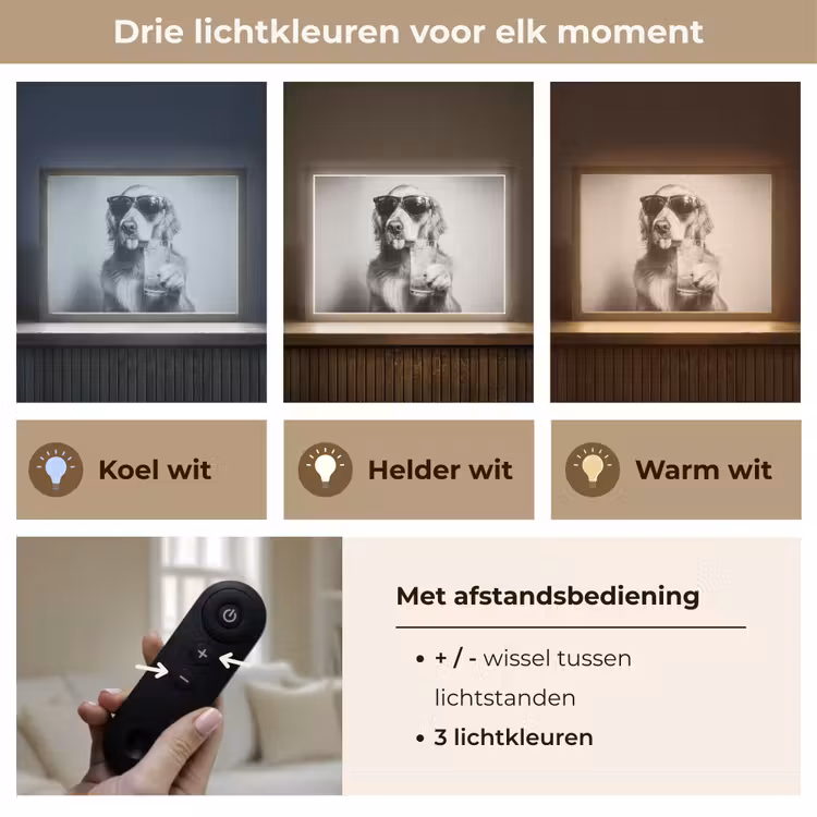 Lightbox - Wandlamp - Golden retriever - Hond - Zonnebril - Gkas — 8