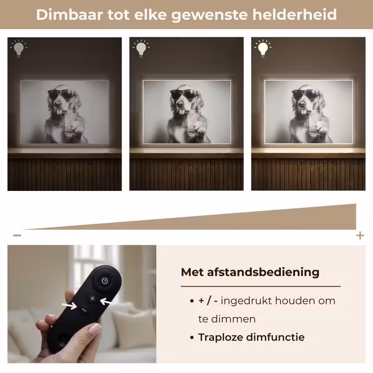 Lightbox - Wandlamp - Golden retriever - Hond - Zonnebril - Gkas — 9