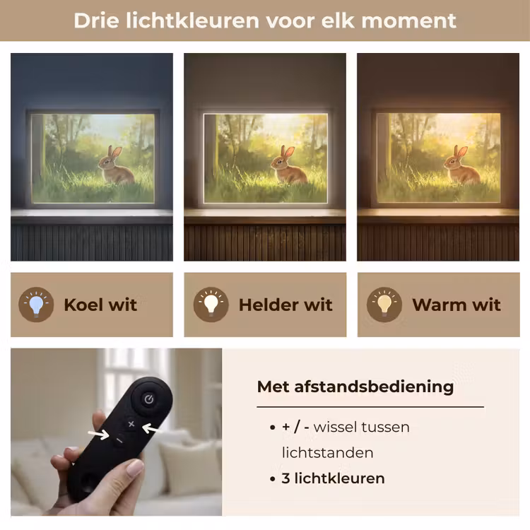 Lightbox - Wandlamp - Konijn - Zonlicht - Bos — 8