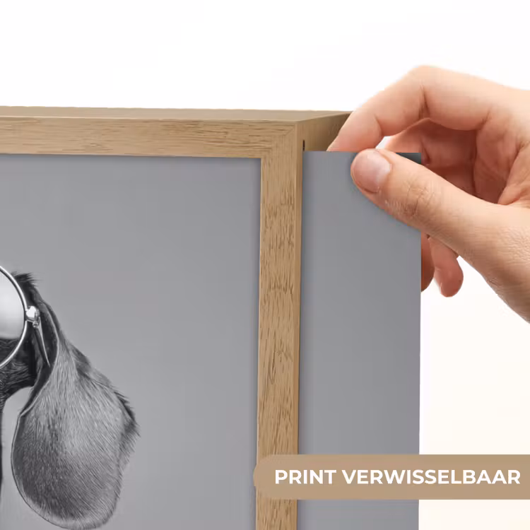 Lightbox - Wandlamp - Teckel - Bier - Glas - Bril — 5