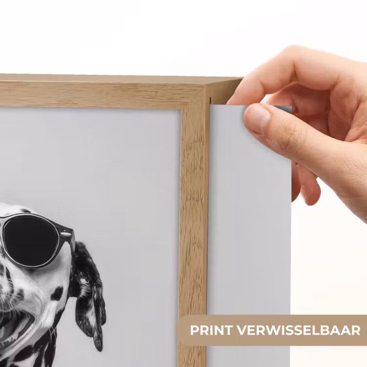 Lightbox - Wandlamp - Zonnebril - Dalmatiër - Wijnglas - Tong — 5