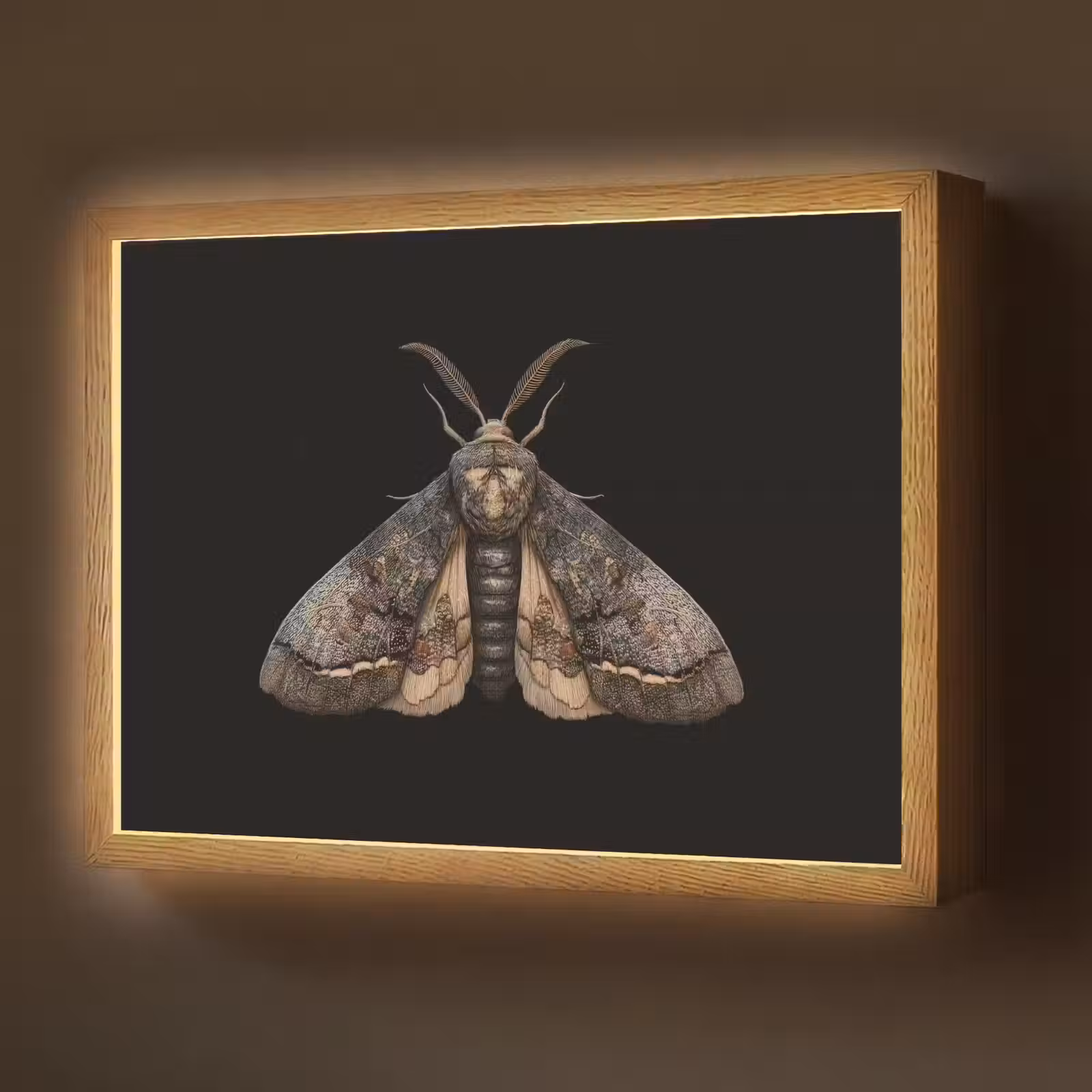 Lightbox - Wandlamp - Mot - Bladachtig - Grijs — 1