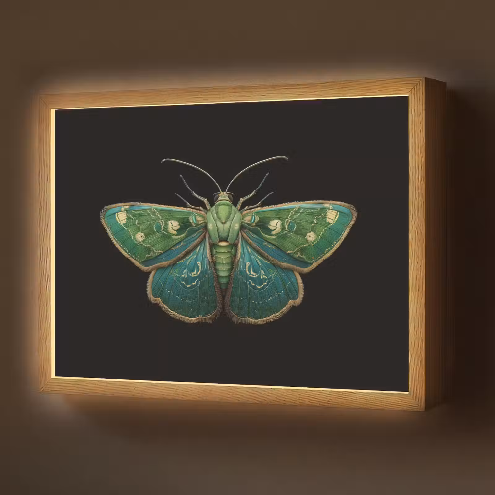 Lightbox - Wandlamp - Mot - Levendig - Groen — 1