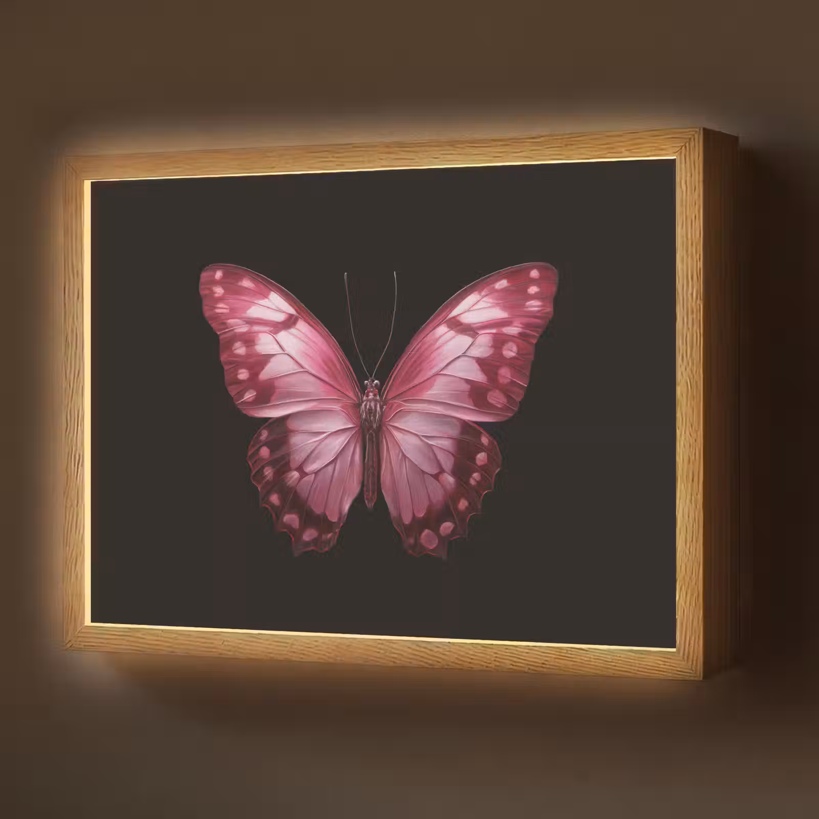 Lightbox - Wandlamp - Vlinder - Fuchsia - Grafisch — 1