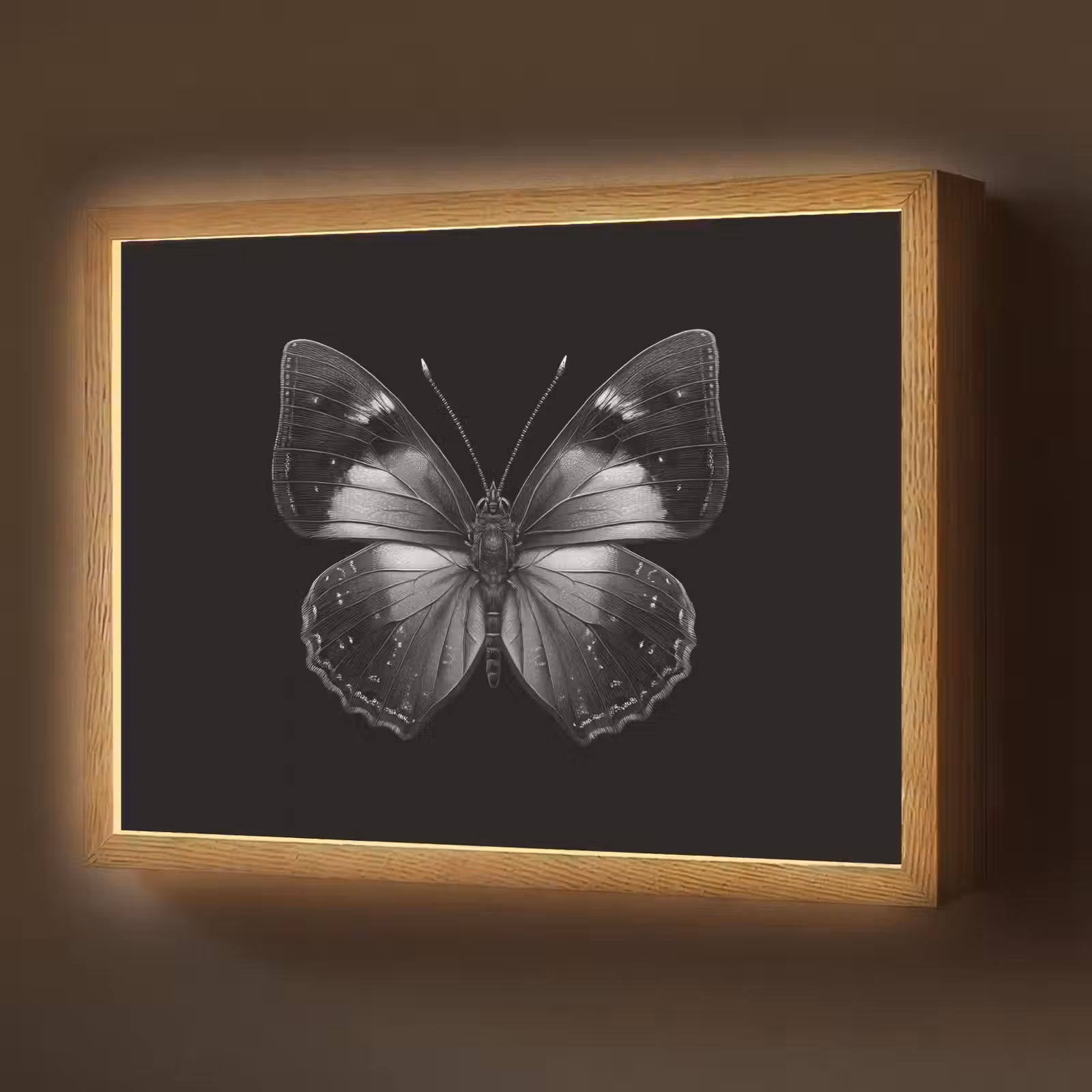 Lightbox - Wandlamp - Vlinder - Grijs - Mysterieus — 1