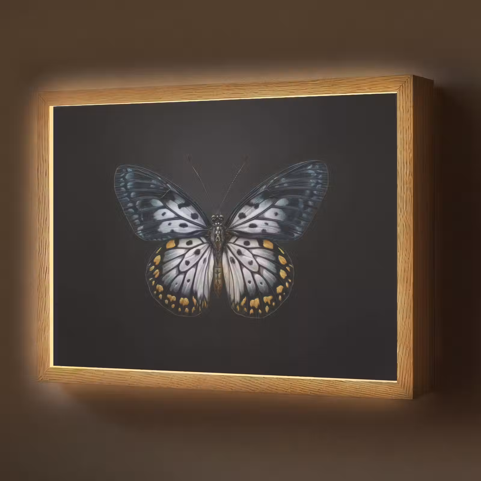 Lightbox - Wandlamp - Vlinder - Monochroom - Balans — 1