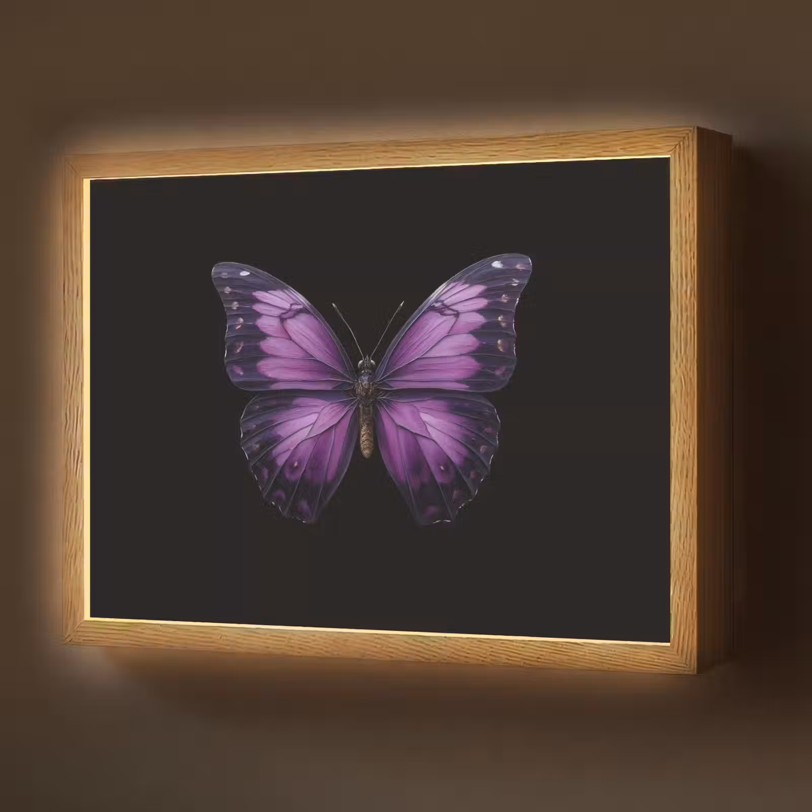 Lightbox - Wandlamp - Vlinder - Paars - Levendig — 1