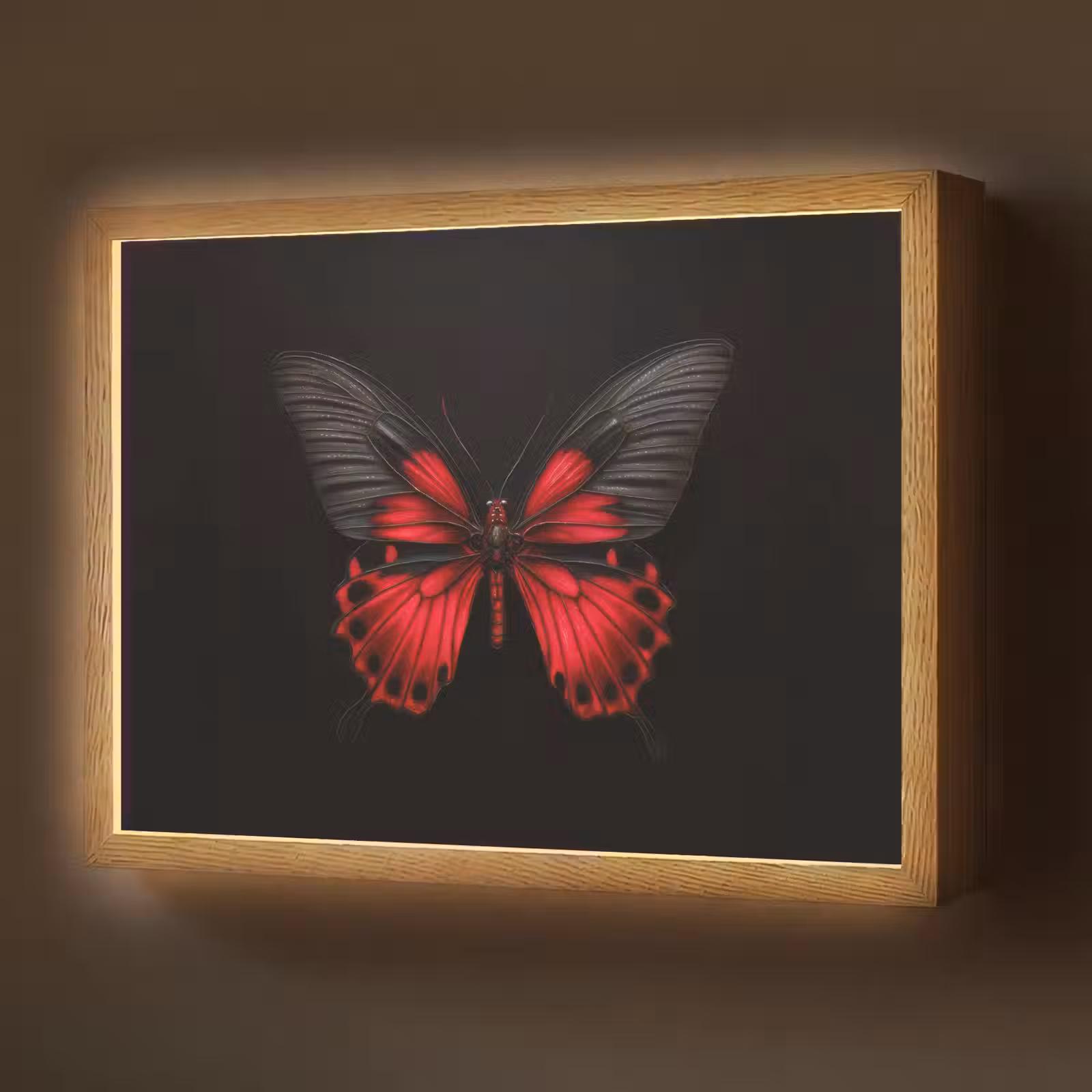 Lightbox - Wandlamp - Vlinder - Rood - Contrast — 1