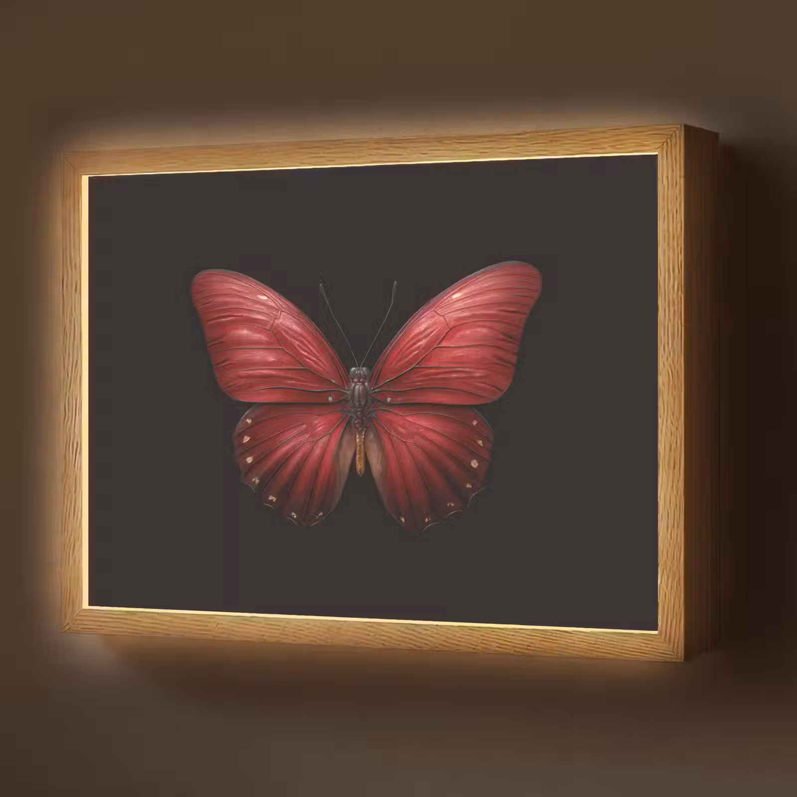 Lightbox - Wandlamp - Vlinder - Rood - Minimalistisch — 1