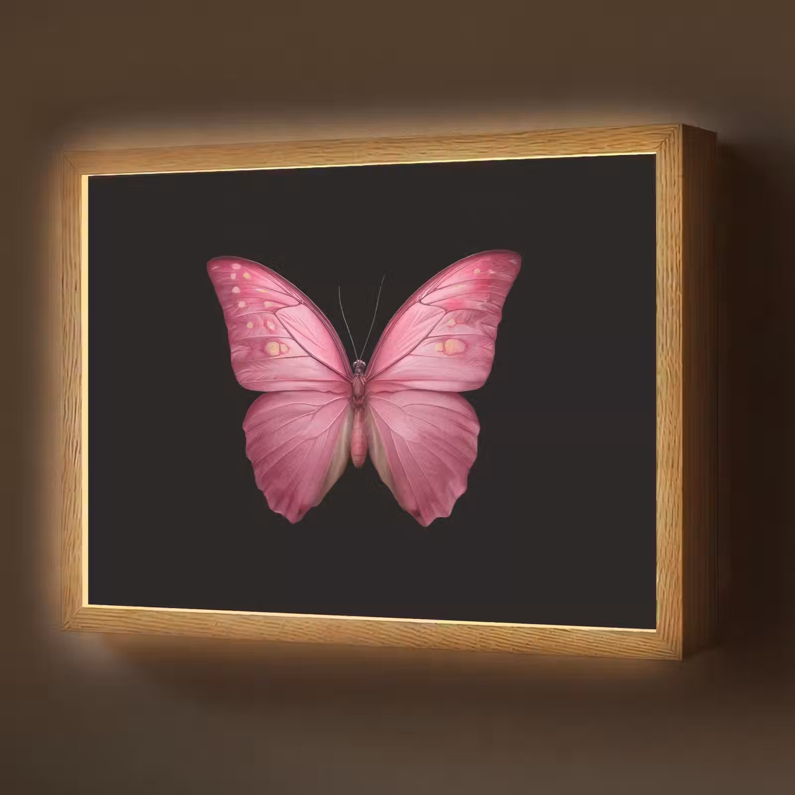 Lightbox - Wandlamp - Vlinder - roze - Elegant — 1